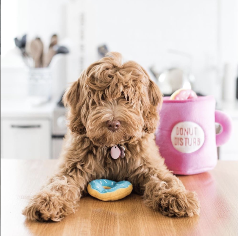 Puppy Variety Toy Pack