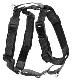 PetSafe® 3 in 1 Harness and Car Restraint, Black