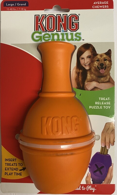 KONG GENIUS LEO (LARGE)- Orange
