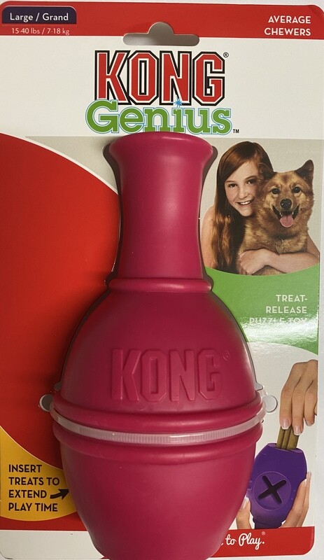 KONG GENIUS LEO (Small)- Rasberry