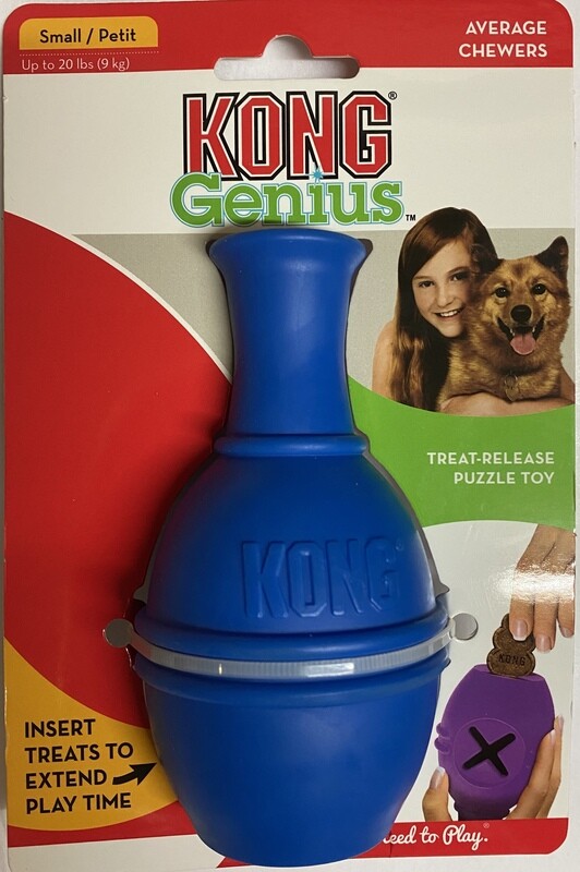 KONG GENIUS LEO (Small)- Blue