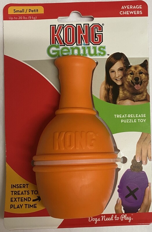 KONG GENIUS LEO (Small)- Orange
