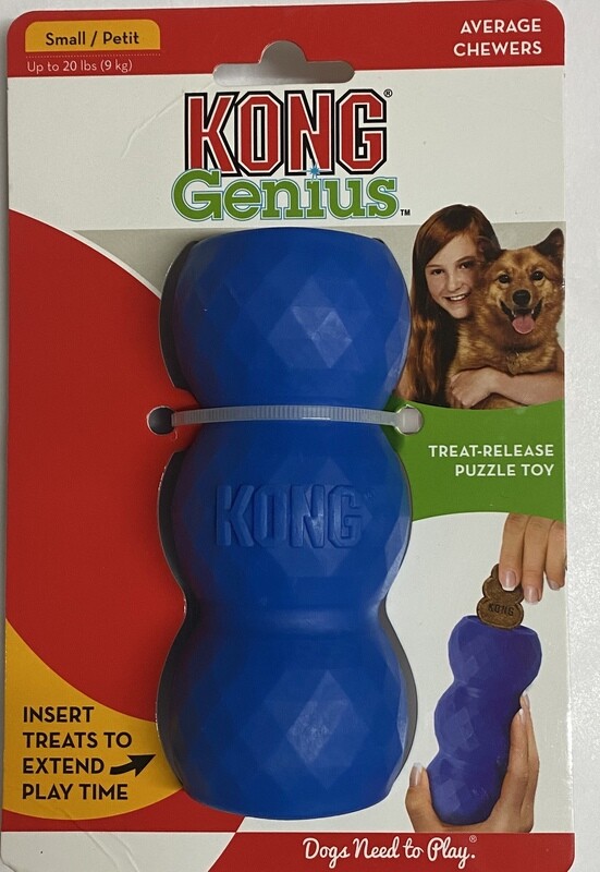 KONG GENIUS Mike (Small)- Blue
