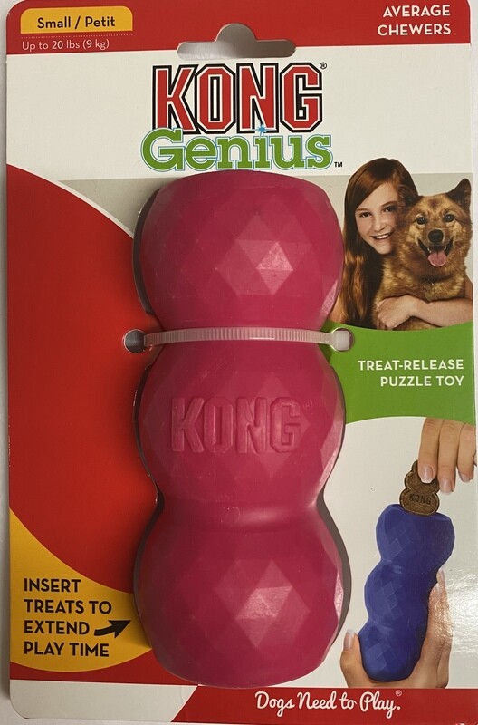KONG GENIUS Mike (Small)- Raspberry