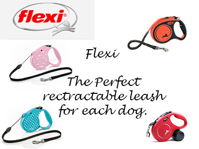 Flexi Retractable Leads