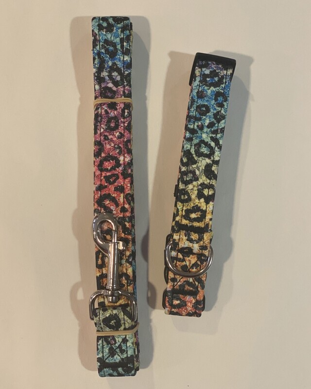 Collar and Lead Set - Medium. Wild Splash of Colour. Spots