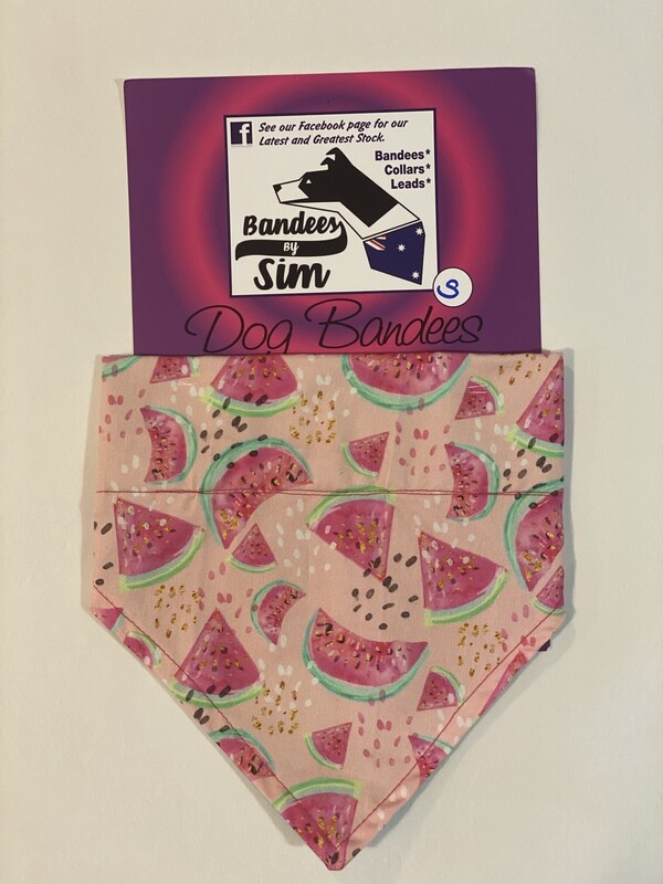 Collar and Lead Set - Small. Watermelon Splash