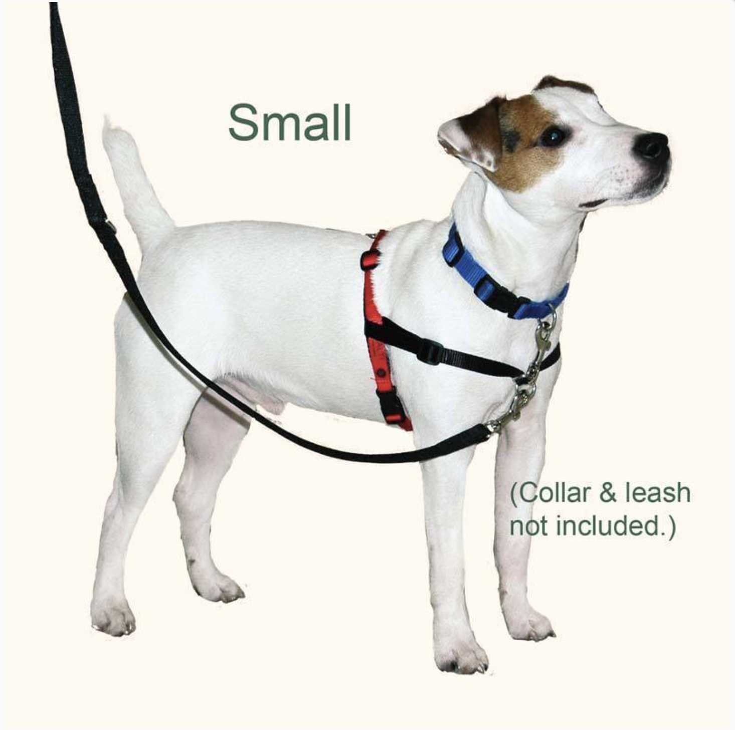 Petlife halti hot sale