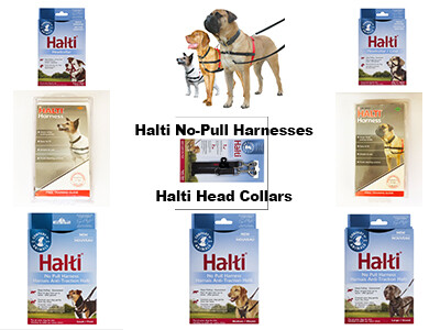Halti Harnesses and Training Leads