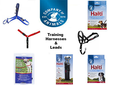 Training Harnesses