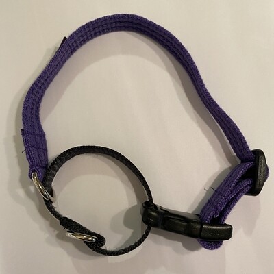 BlackDog Training Collar (Small). PURPLE