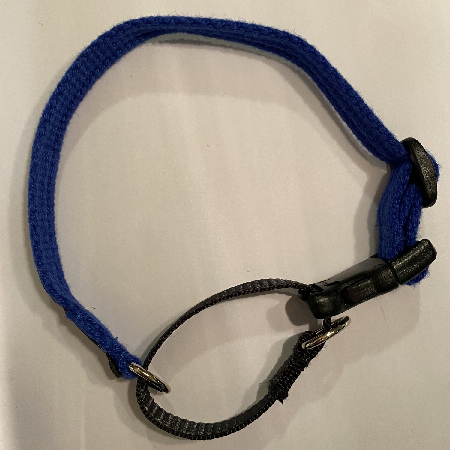 BlackDog Training Collar (Extra Small). BLUE