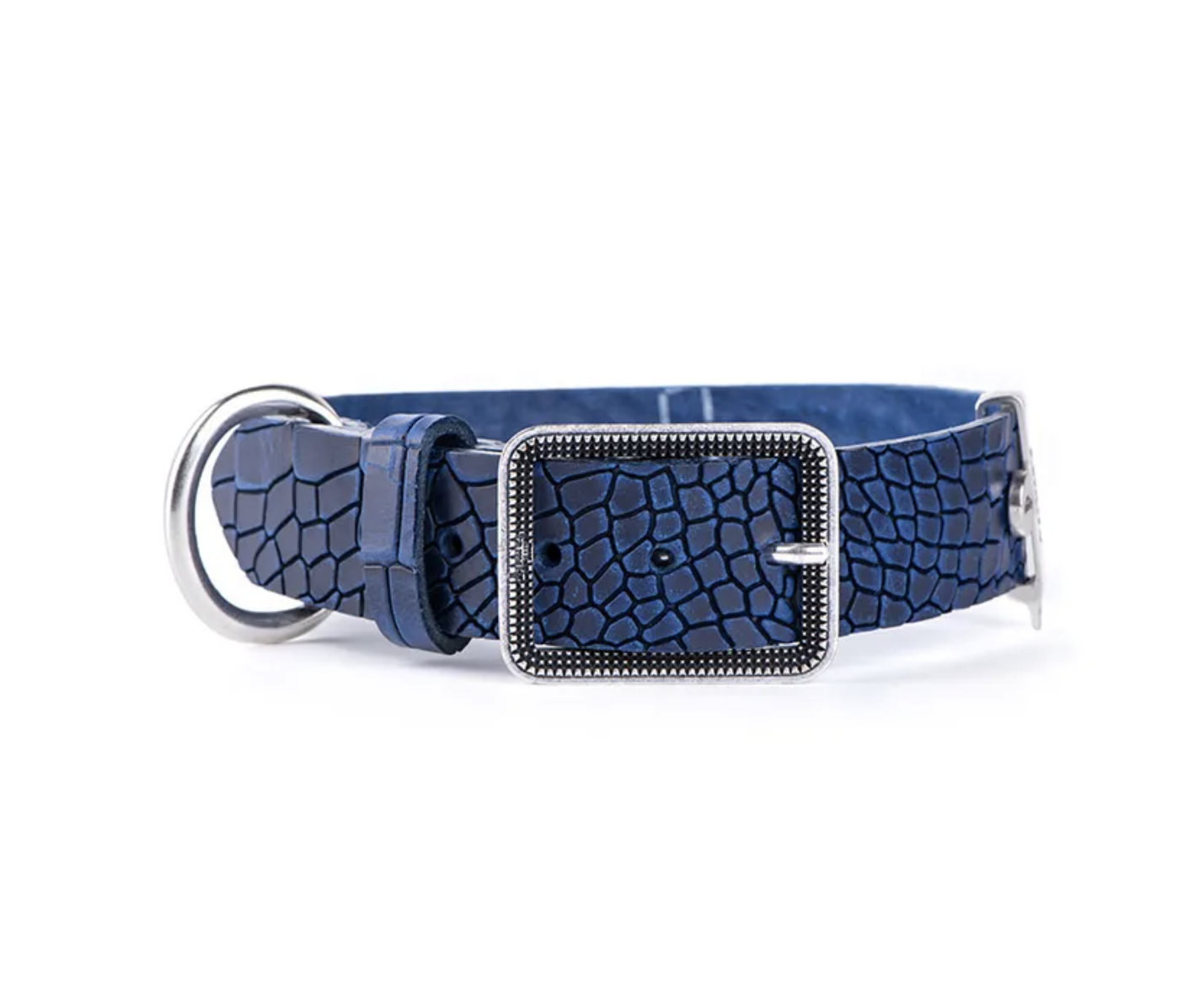My Family Tucson Collection Blue Leather Collar. Medium/Large