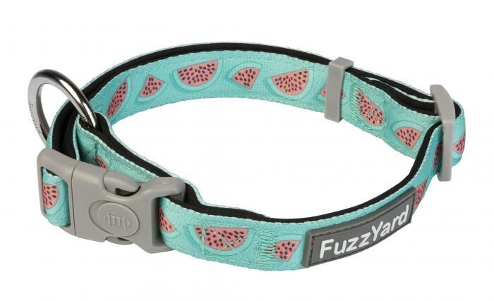 FuzzYard Summer Punch Collar SMALL