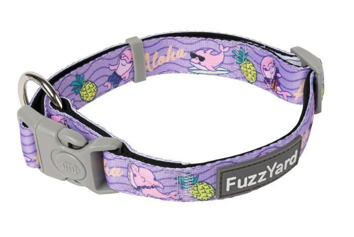 FuzzYard Aloha Dolphins - Dog Collar. MEDIUM