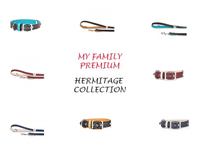 My Family Hermitage Collection