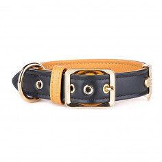 MyFamily Hermitage Dog Collar in Genuine Italian Black Leather with 24K Gold Plated finishing. Black
