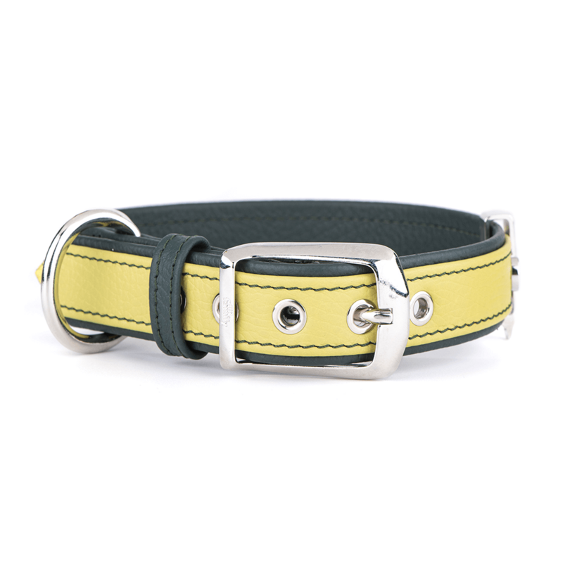 MyFamily Firenze Dog Collar in Genuine Italian Yellow/Lime Leather. SMALL/MEDIUM