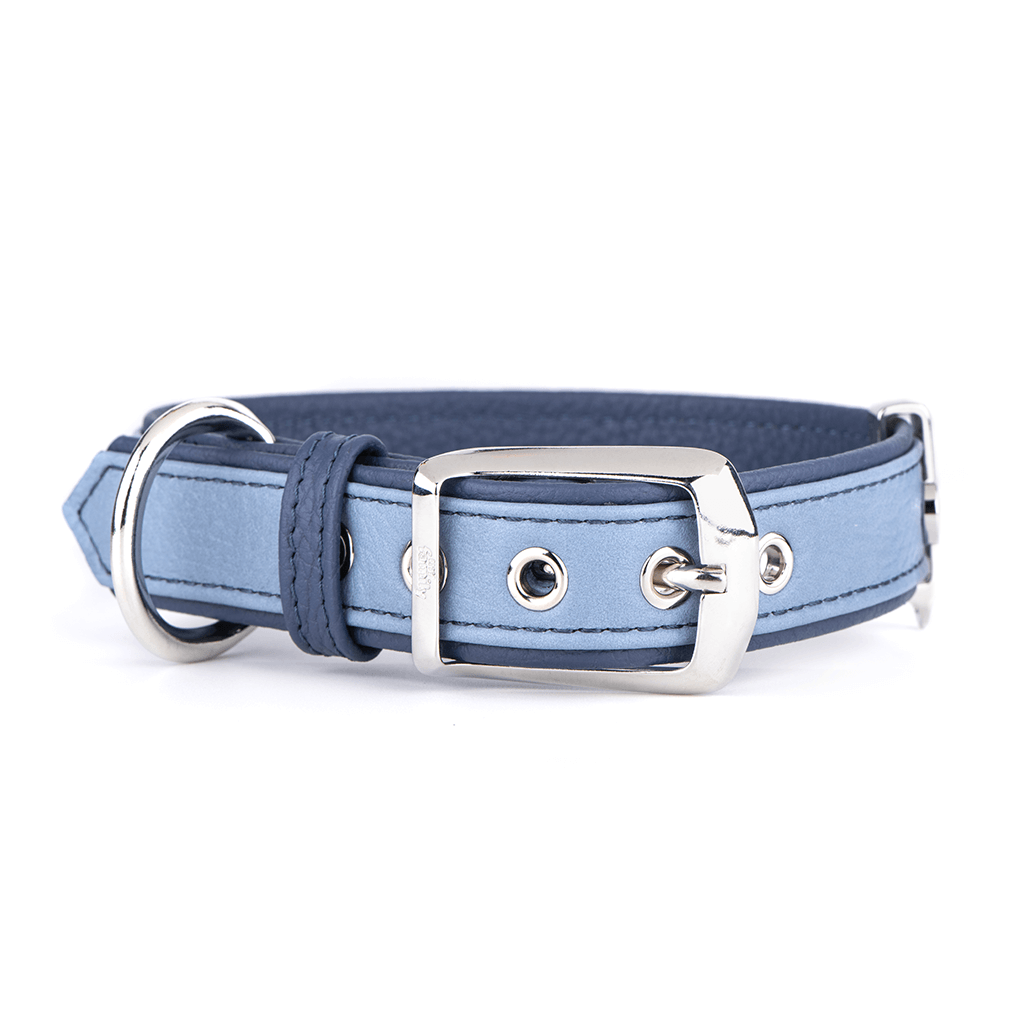 MyFamily Firenze Dog Collar in Genuine Italian Light Blue Leather. SMALL MEDIUM.