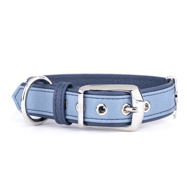 MyFamily Firenze Dog Collar in Genuine Italian Light Blue Leather. SMALL MEDIUM.