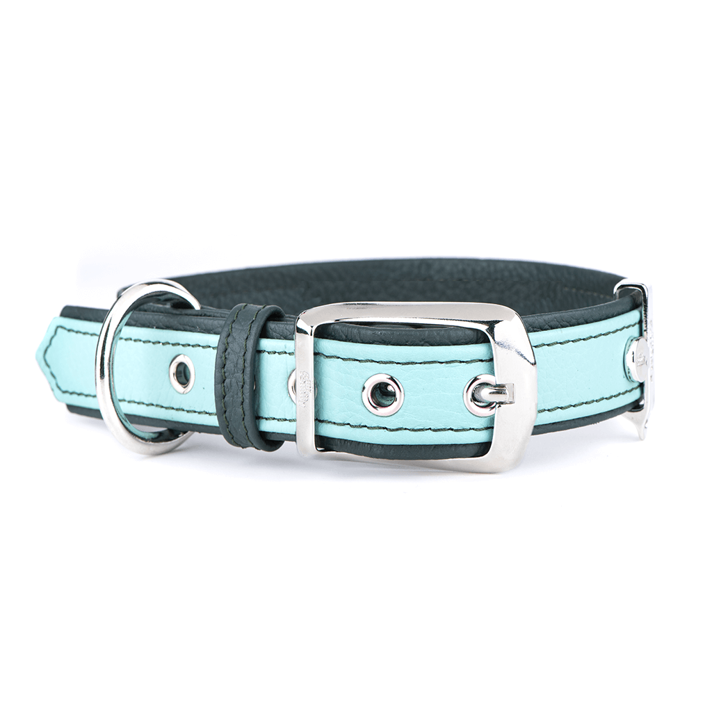 MyFamily Firenze Dog Collar in Genuine Italian Light Green/ Aqua Leather. SMALL/MEDIUM