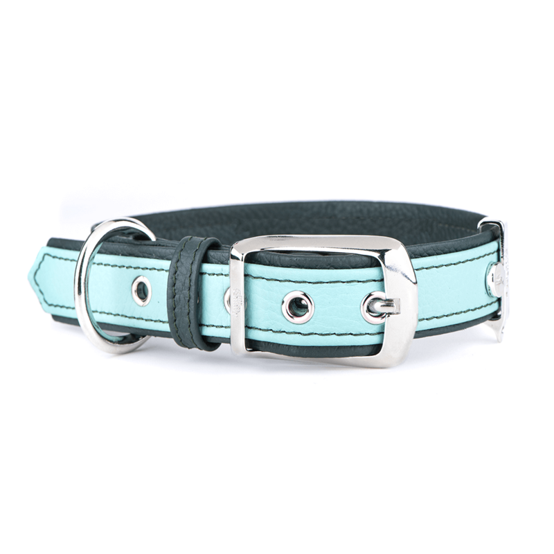 MyFamily Firenze Dog Collar in Genuine Italian Light Green/ Aqua Leather. SMALL/MEDIUM