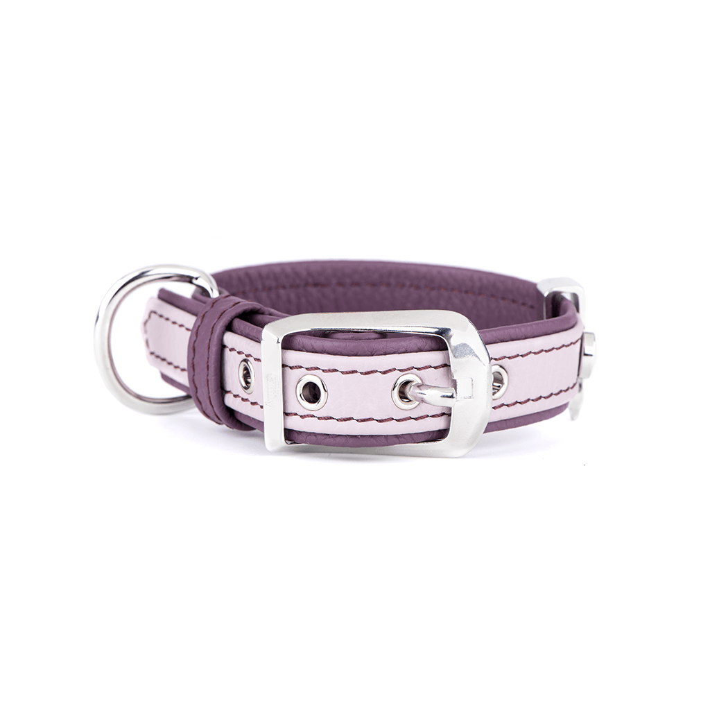 MyFamily Firenze Dog Collar in Genuine Italian Pink Leather. SMALL/MEDIUM