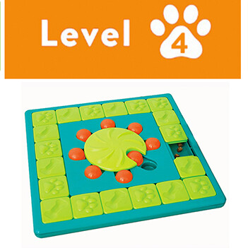 Level 4 - Expert Skill Level