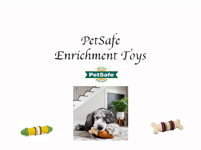 PetSafe Enrichment  Toys
