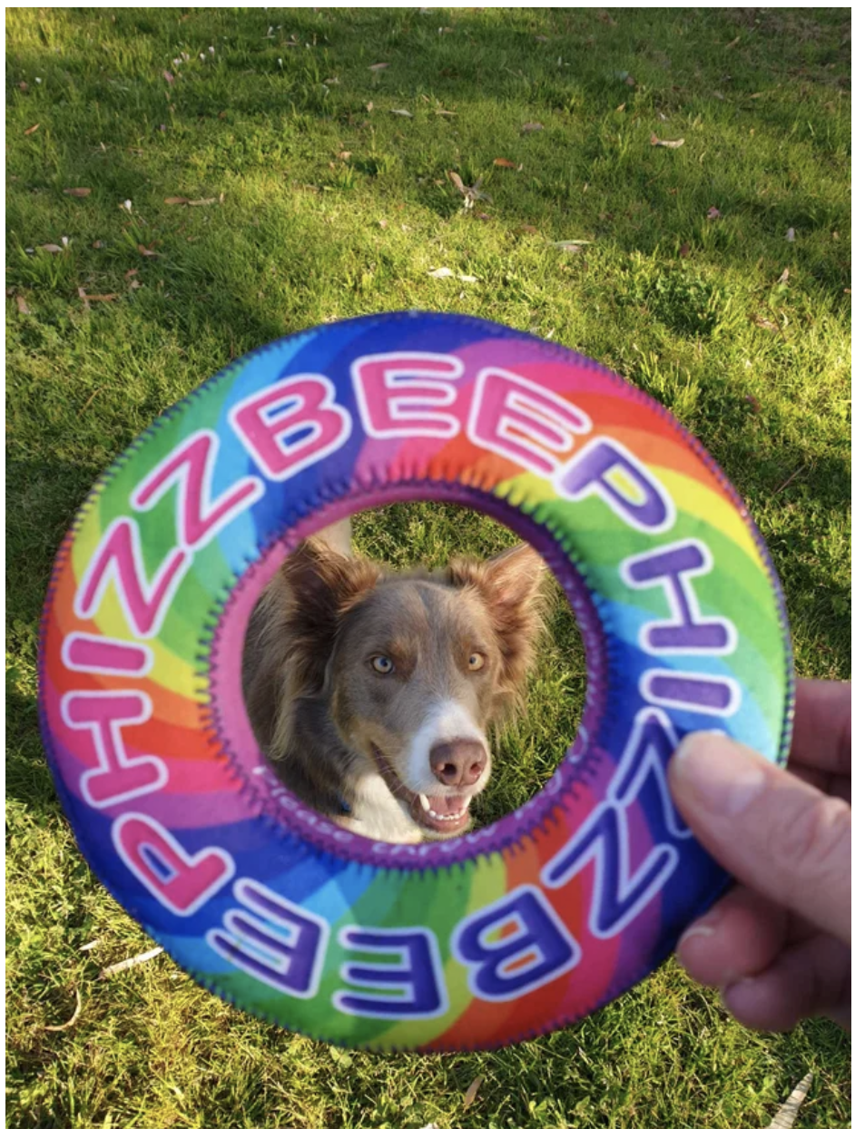 Puppingtons Phizbee&#39;s