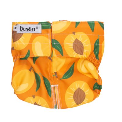 Dundies Apricot Jam Snappie LG
