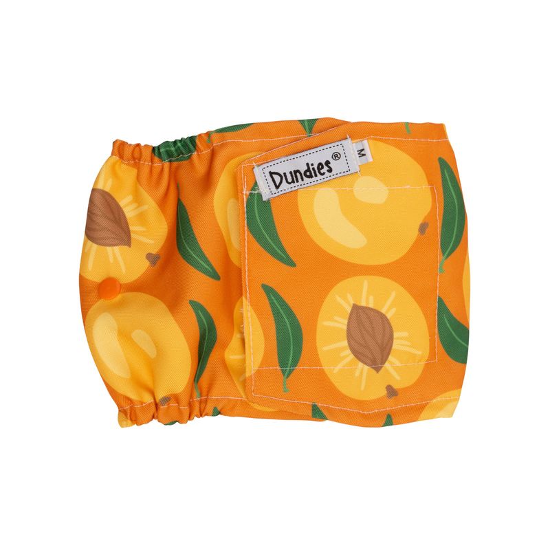 Dundies Belly Band Apricot Jam MED