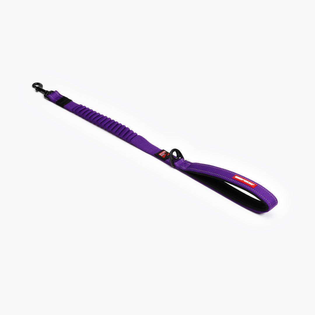 EzyDog Lead - Zero Shock Leash, Purple 48&quot; /120 cms