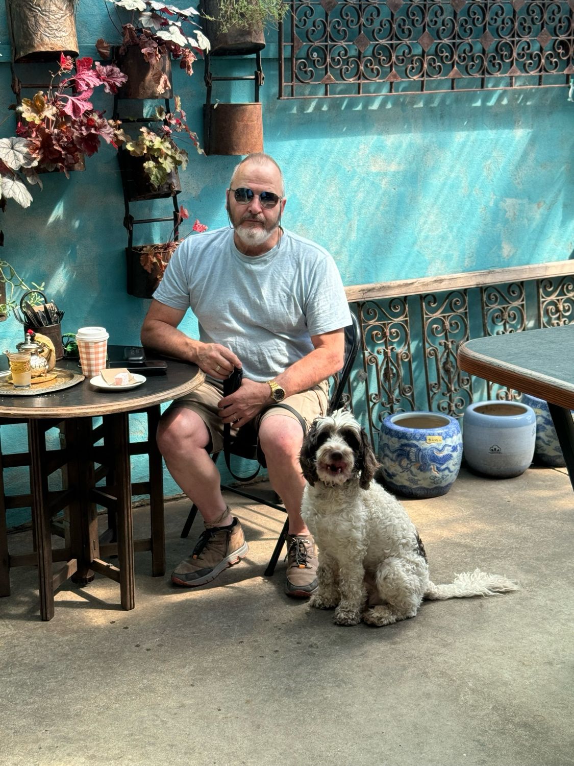 Retired dogs