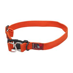 BlackDog Standard Collar Stainless Steel Extra Safety Double Rings ORANGE XL