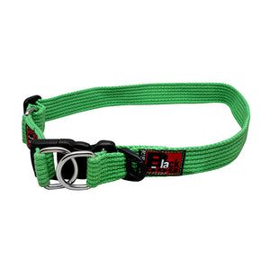 BlackDog Standard Collar Stainless Steel Extra Safety Double Rings GREEN XL