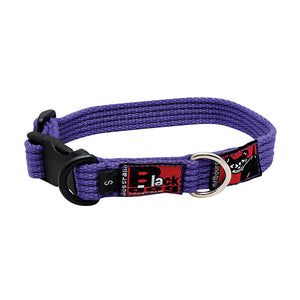 BlackDog Standard Collar - Stainless Steel - Adjustable PURPLE MED