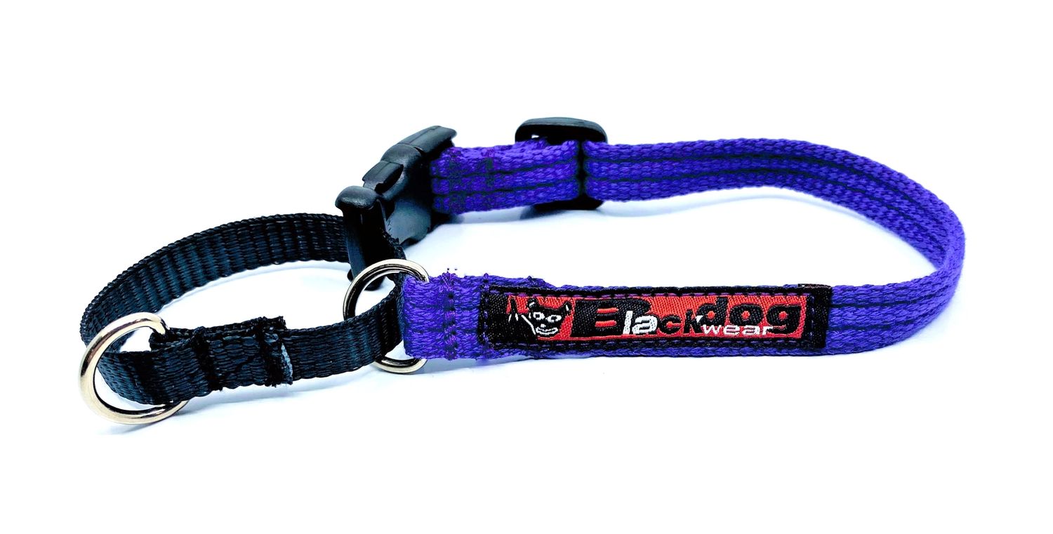 BlackDog Training Collar PURPLE MED
