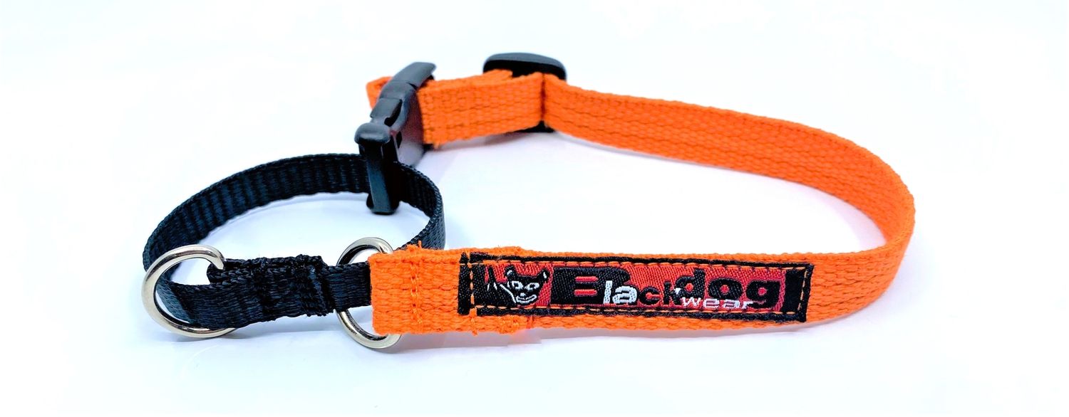 BlackDog Training Collar ORANGE LG