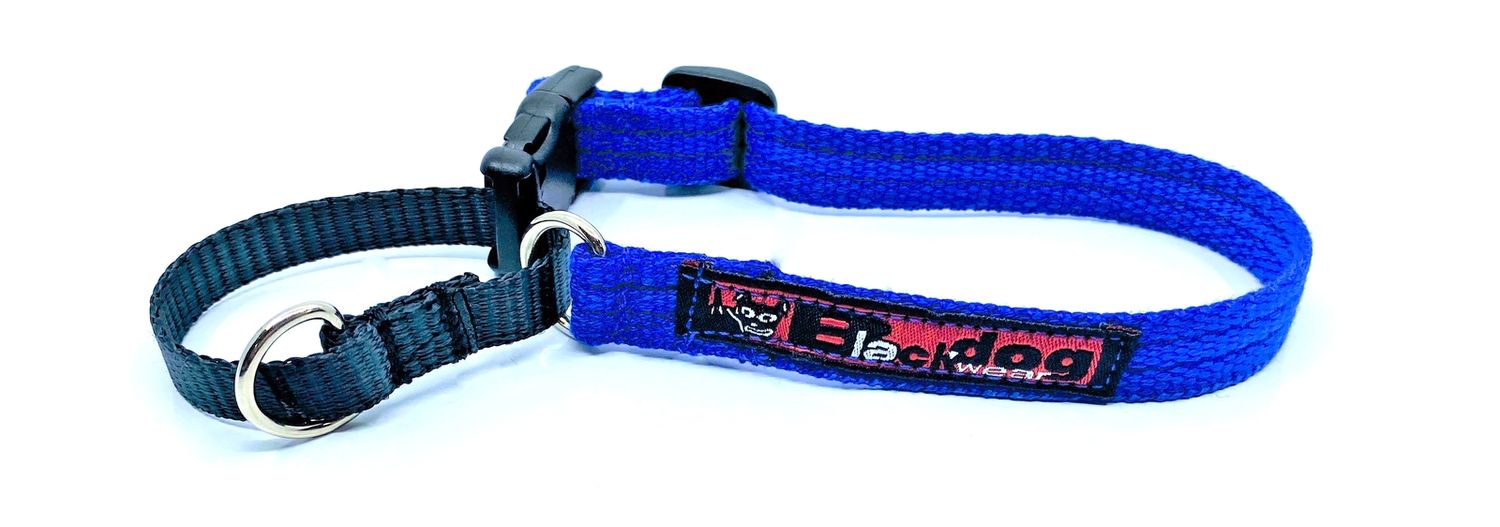 BlackDog Training Collar BLUE LG