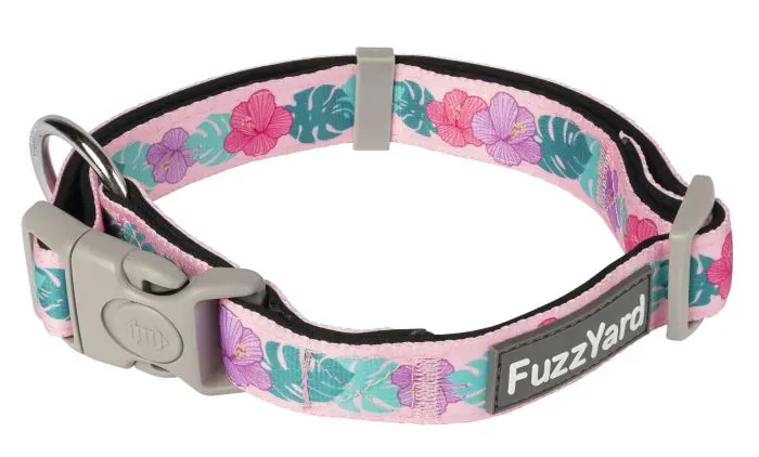 FuzzYard Lahania - Dog Collar. LARGE