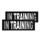 Quest Removable  Patches “IN TRAINING” SMALL Size A