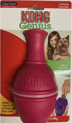 KONG GENIUS LEO (LARGE)- Rasberry
