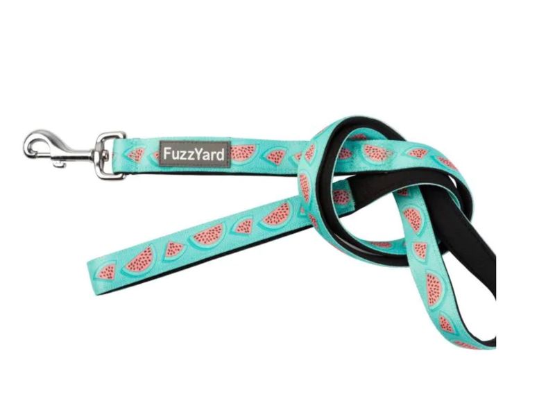 FuzzYard Summer Punch - Dog lead SMALL