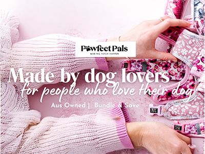 Pawfect Pals - Harnesses Collars and Leads
