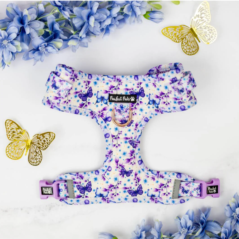 Social Butterfly - No-Pull Adjustable Harness - MED