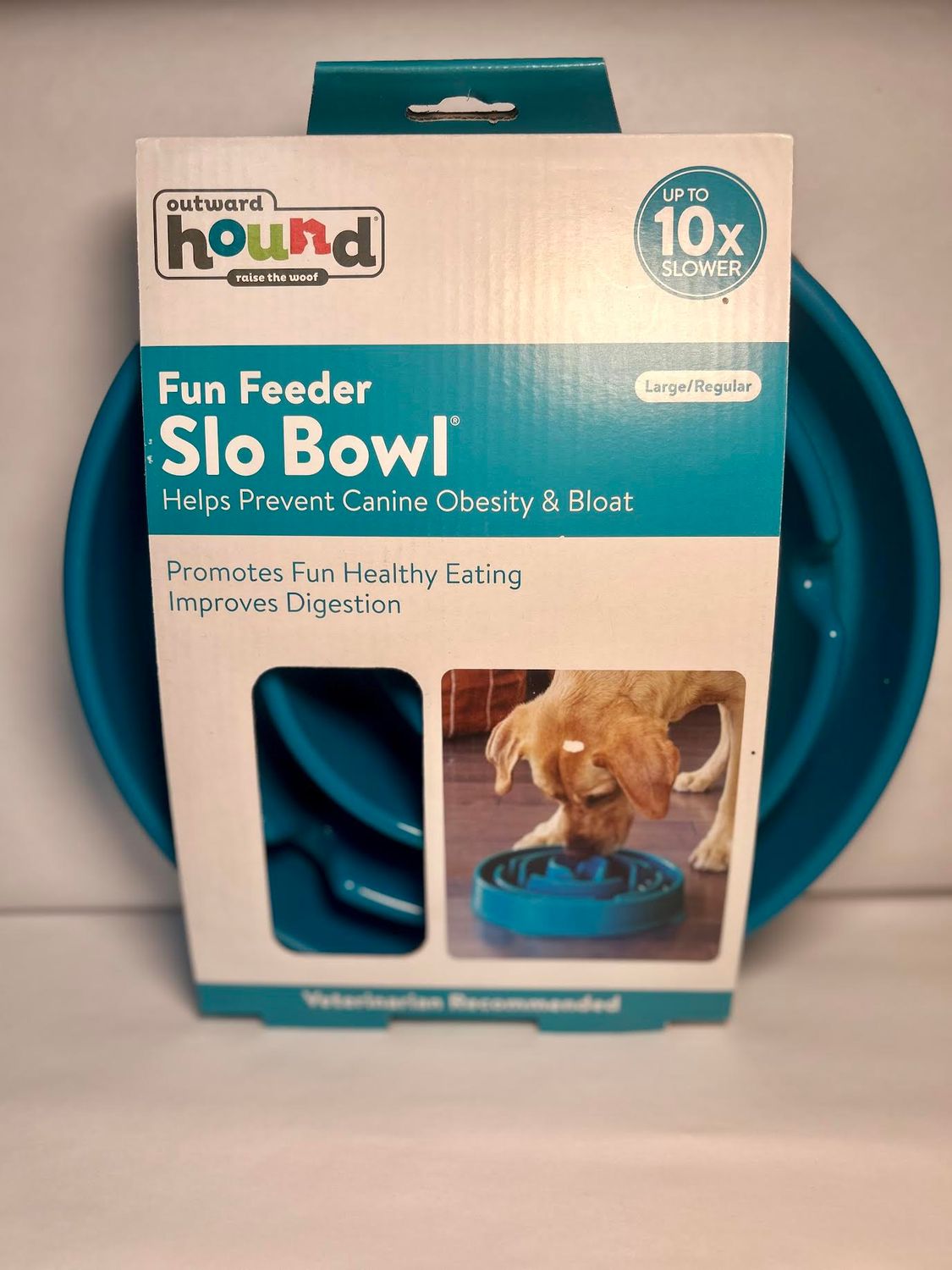 Outward Hound Fun Feeder, Slow Feeder Dog Bowl – Teal Large