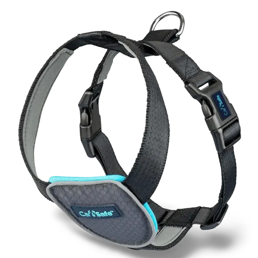 Car safe, Dog Travel Harness Black Small