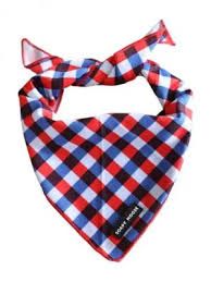 Petway Bandana small Fashionista