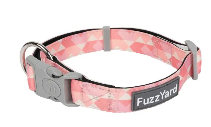 FuzzYard Pink Lemonade - Dog Collar. LARGE